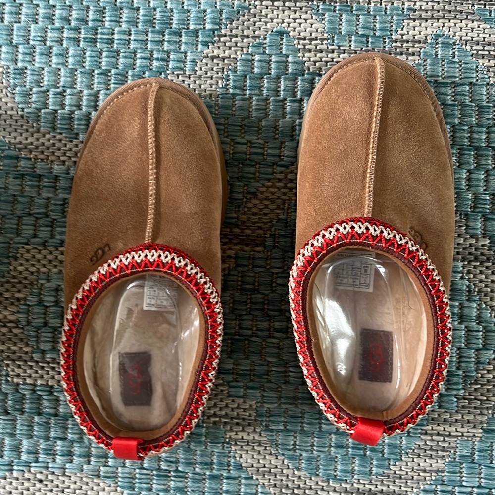 Brand new Tazz chestnut color UGG slip ons.